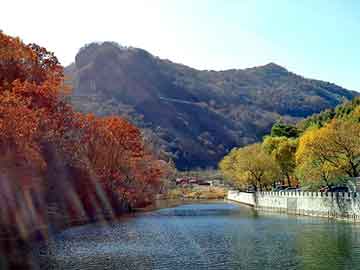 新澳天天开好彩资料大全，空气呼吸器型号